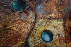 Les yeux de la plaine