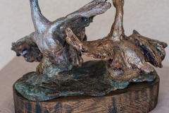 On se marre dans la mare