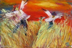 Oiseaux des champs